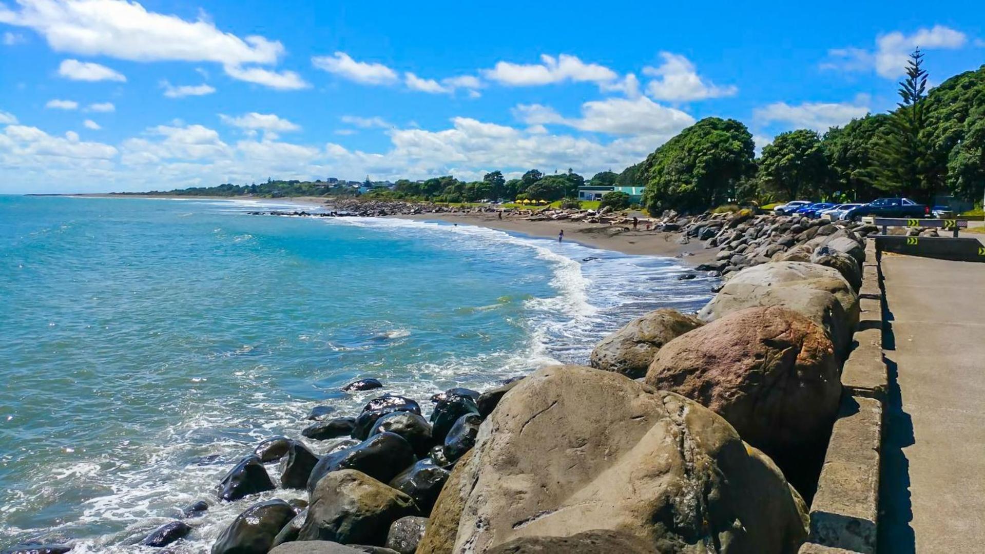 Sunny Ark Apartment New Plymouth Eksteriør bilde
